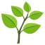 :herb:
