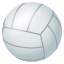 :volleyball: